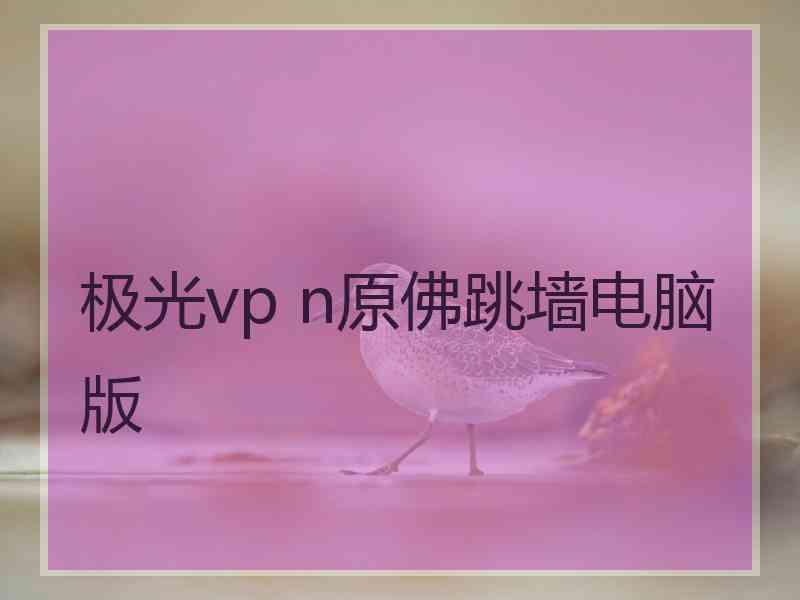 极光vp n原佛跳墙电脑版