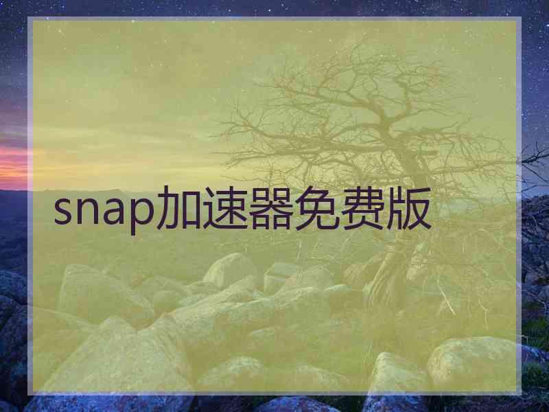 snap加速器免费版