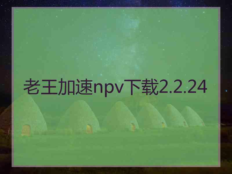 老王加速npv下载2.2.24