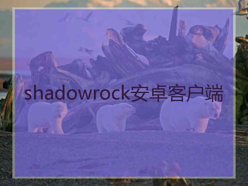 shadowrock安卓客户端