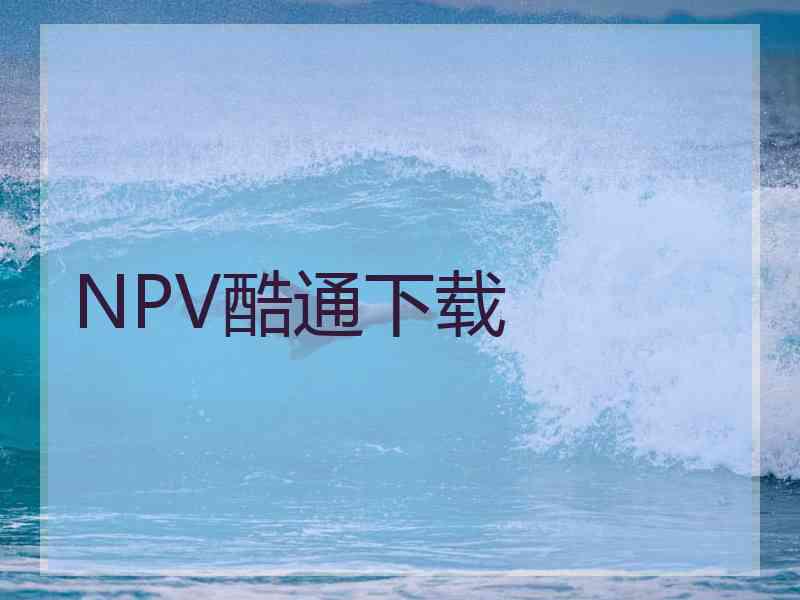 NPV酷通下载