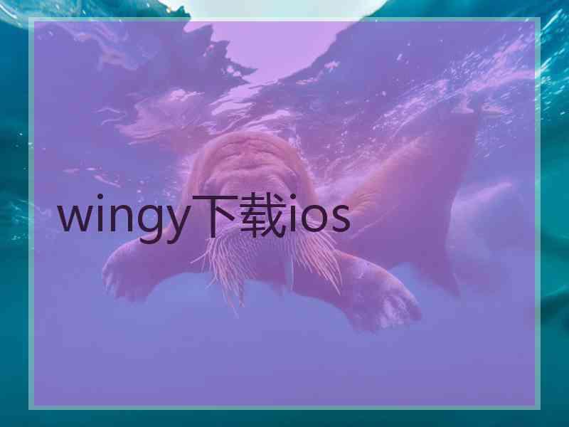 wingy下载ios