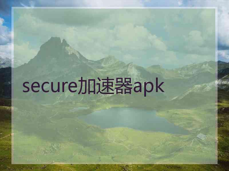 secure加速器apk