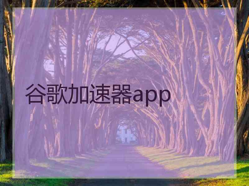 谷歌加速器app