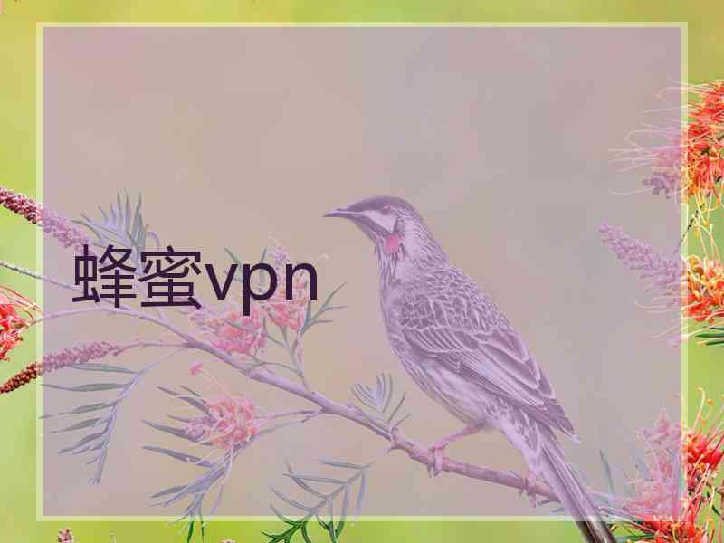 蜂蜜vpn