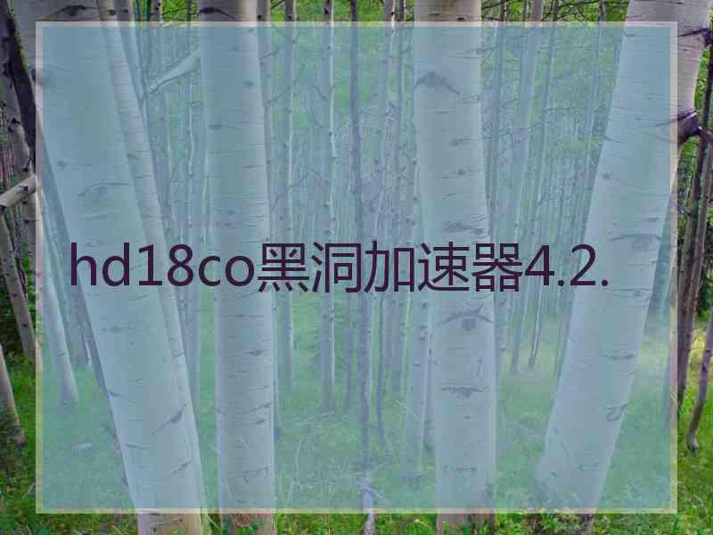 hd18co黑洞加速器4.2.