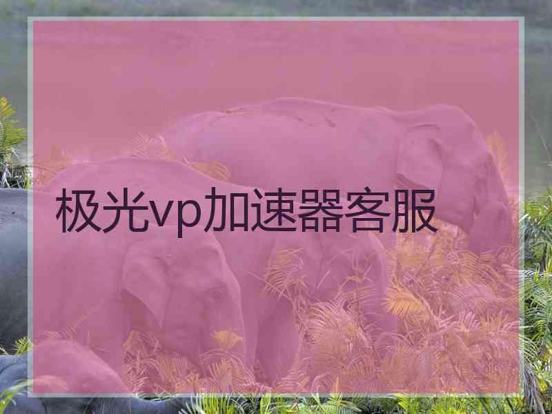 极光vp加速器客服