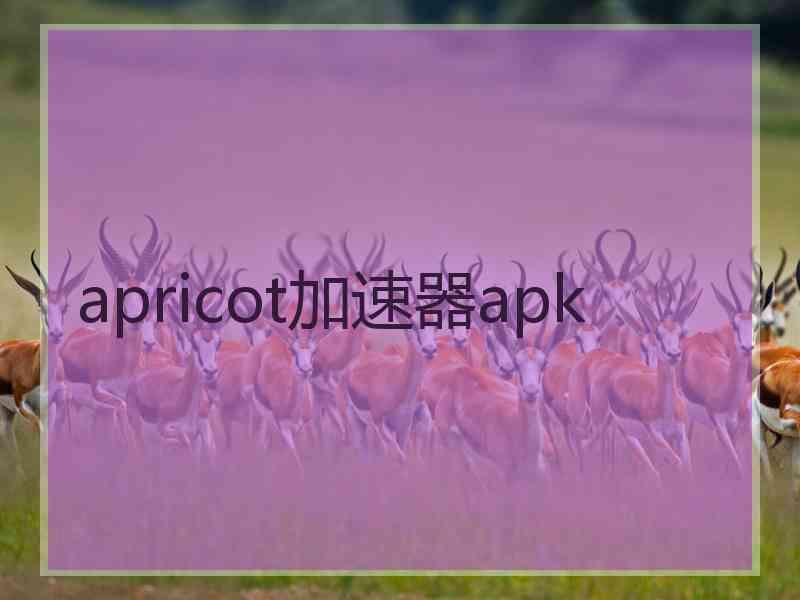 apricot加速器apk