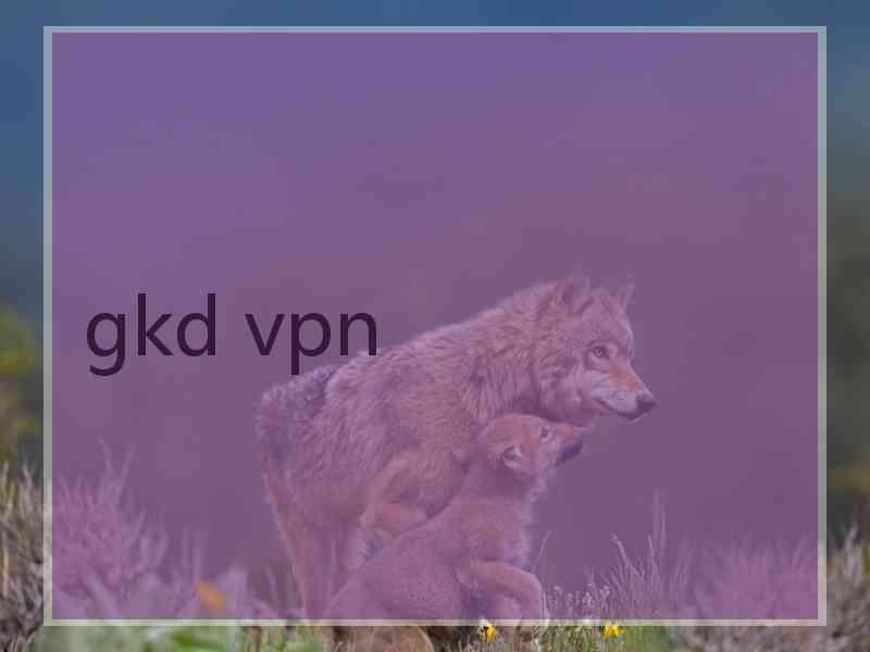 gkd vpn