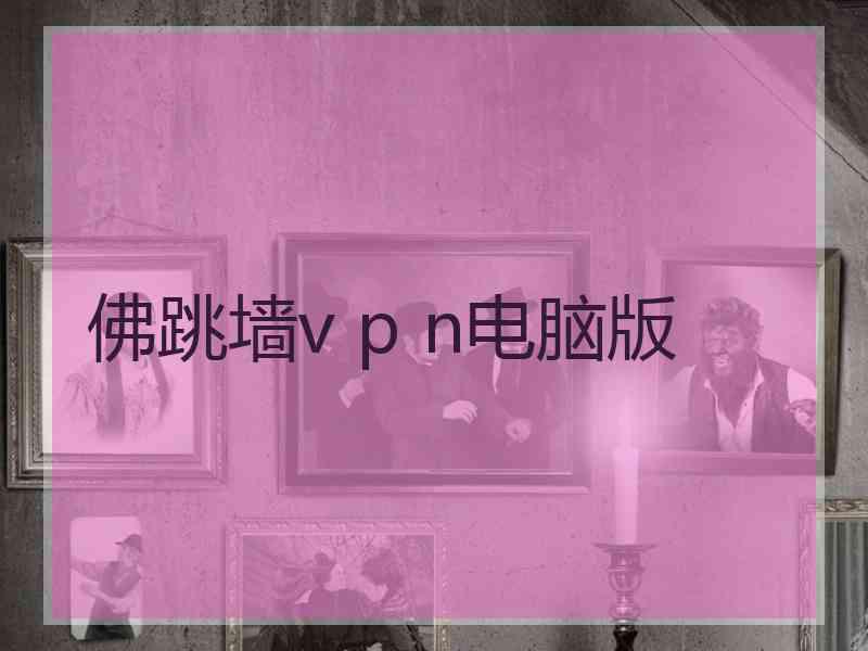 佛跳墙v p n电脑版