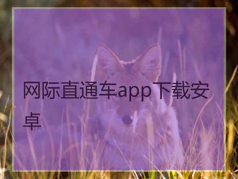 网际直通车app下载安卓