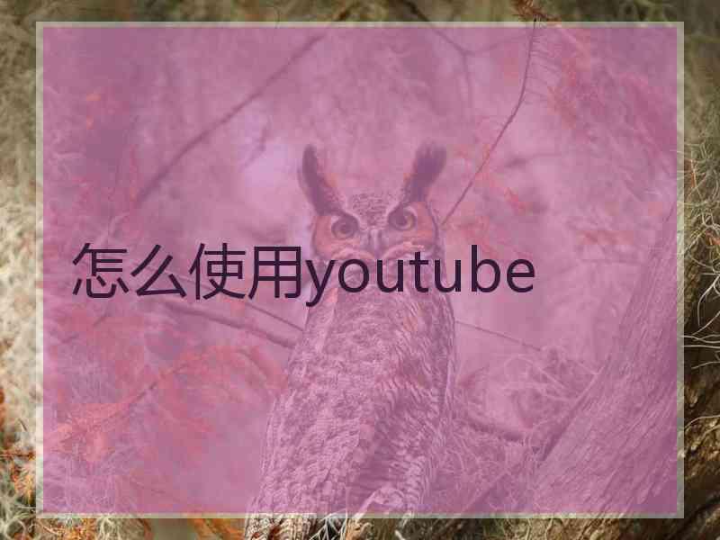 怎么使用youtube