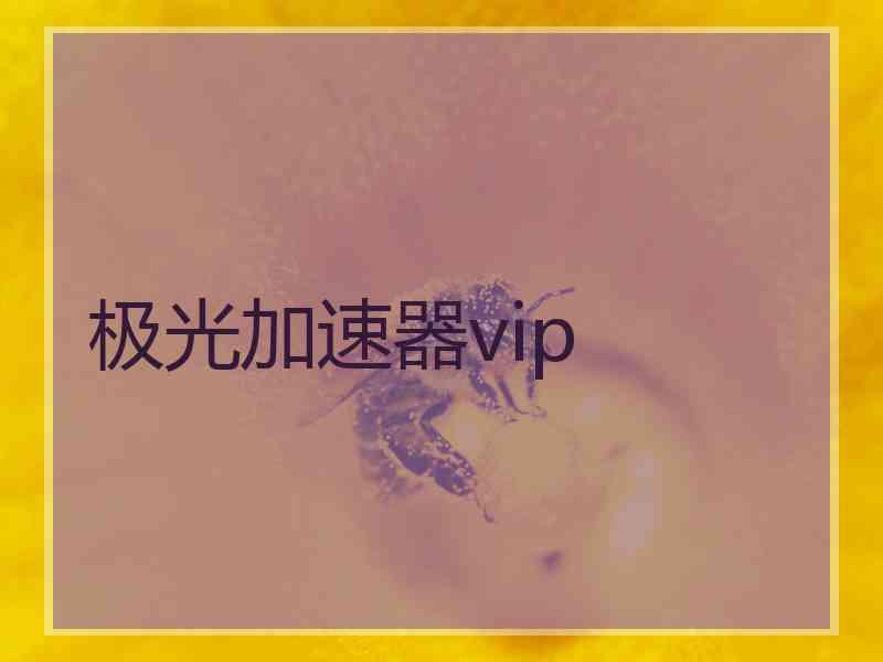 极光加速器vip