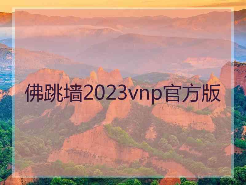 佛跳墙2023vnp官方版