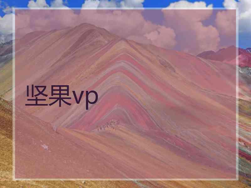 坚果vp