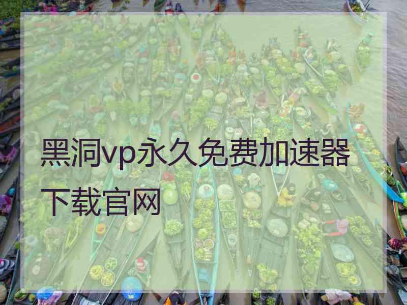 黑洞vp永久免费加速器下载官网