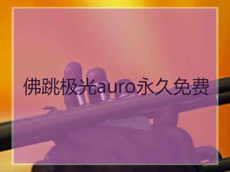 佛跳极光auro永久免费