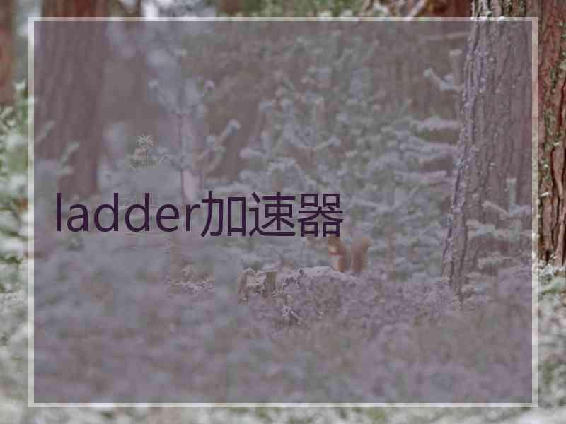 ladder加速器