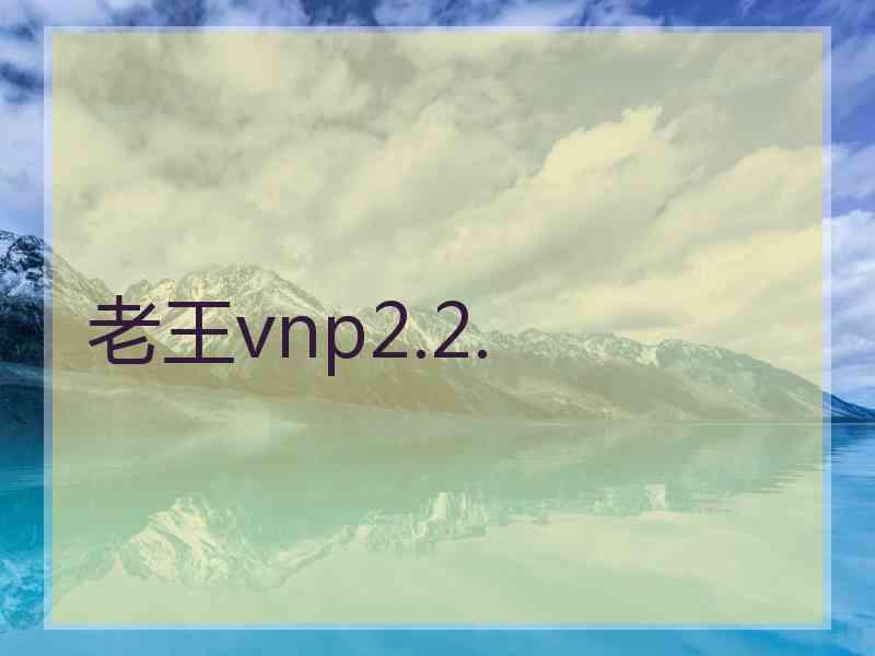 老王vnp2.2.