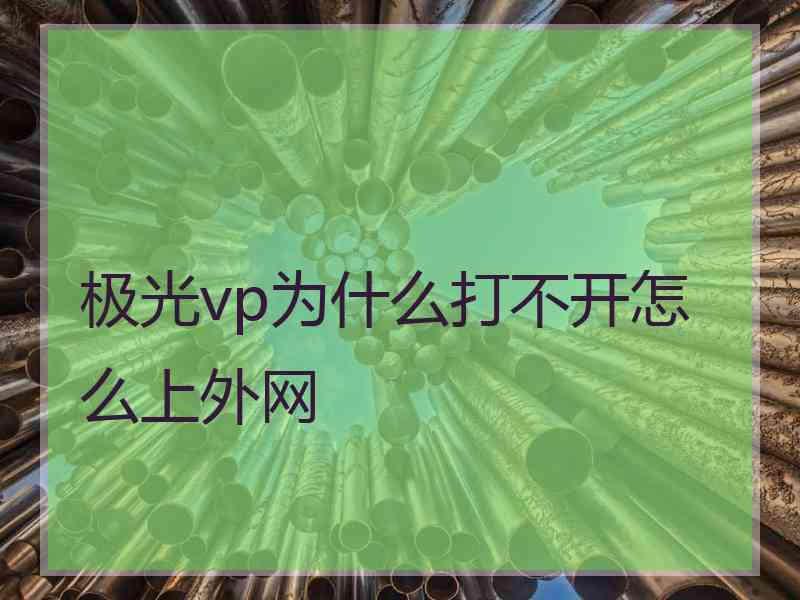 极光vp为什么打不开怎么上外网