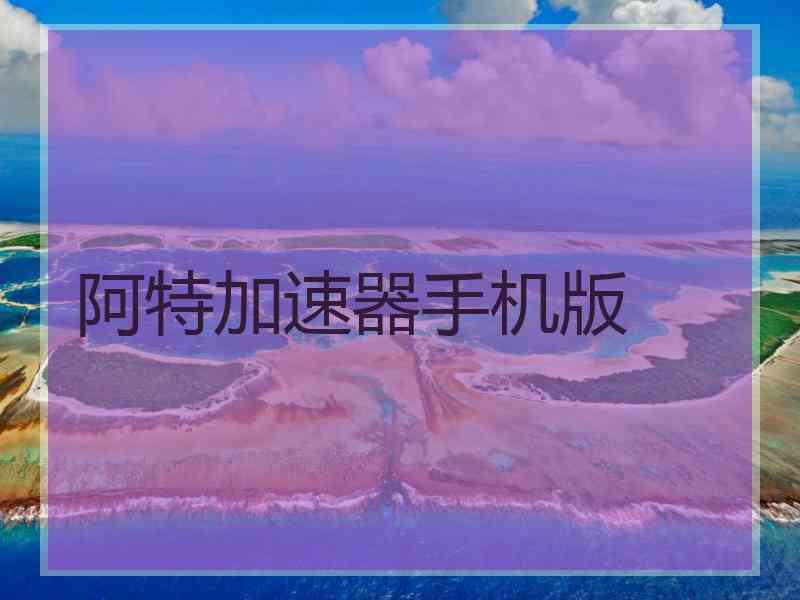 阿特加速器手机版