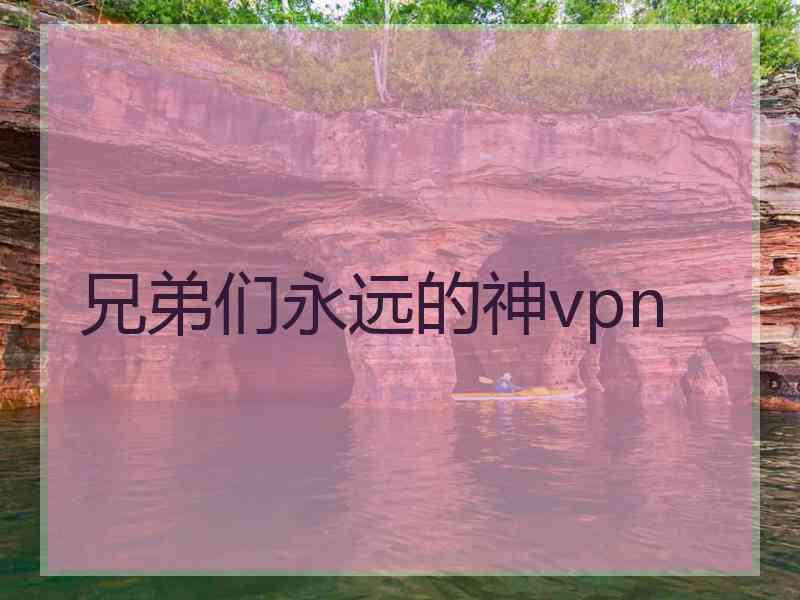 兄弟们永远的神vpn