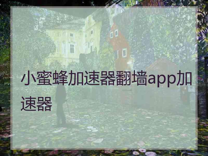 小蜜蜂加速器翻墙app加速器