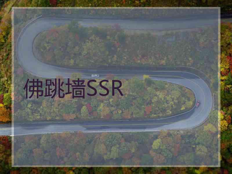 佛跳墙SSR