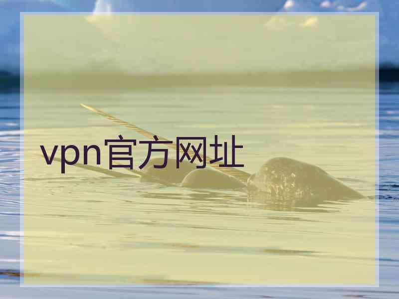 vpn官方网址