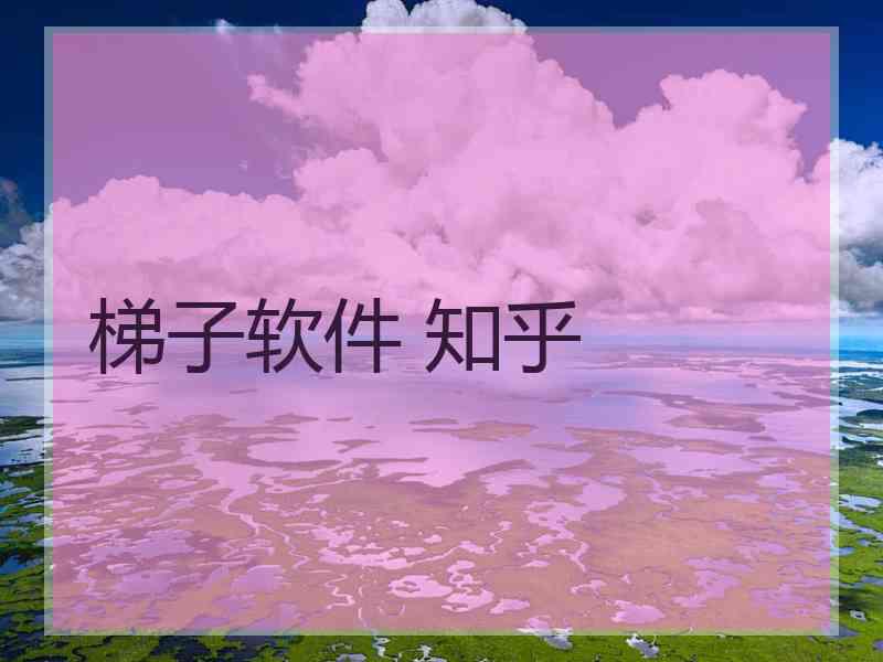 梯子软件 知乎