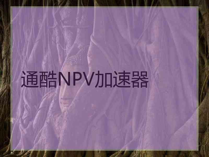 通酷NPV加速器