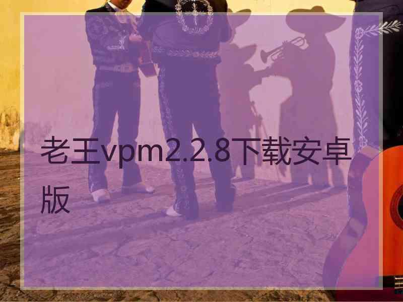 老王vpm2.2.8下载安卓版