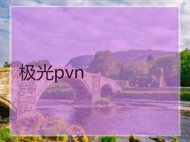 极光pvn