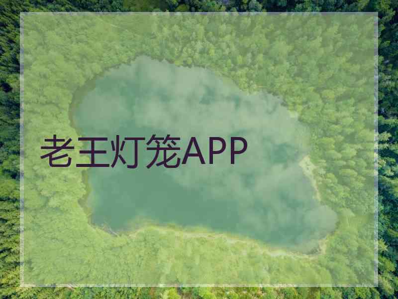 老王灯笼APP