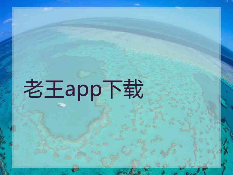 老王app下载