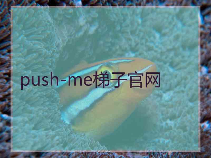 push-me梯子官网