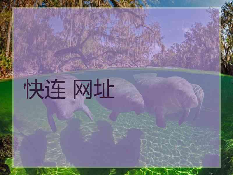 快连 网址