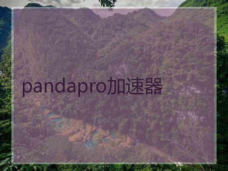 pandapro加速器