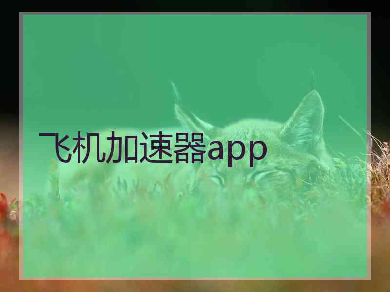 飞机加速器app