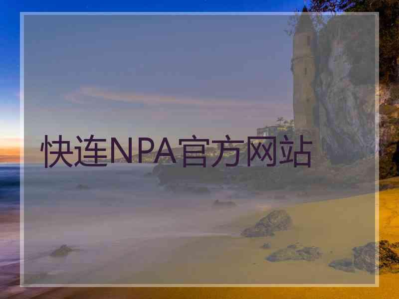 快连NPA官方网站