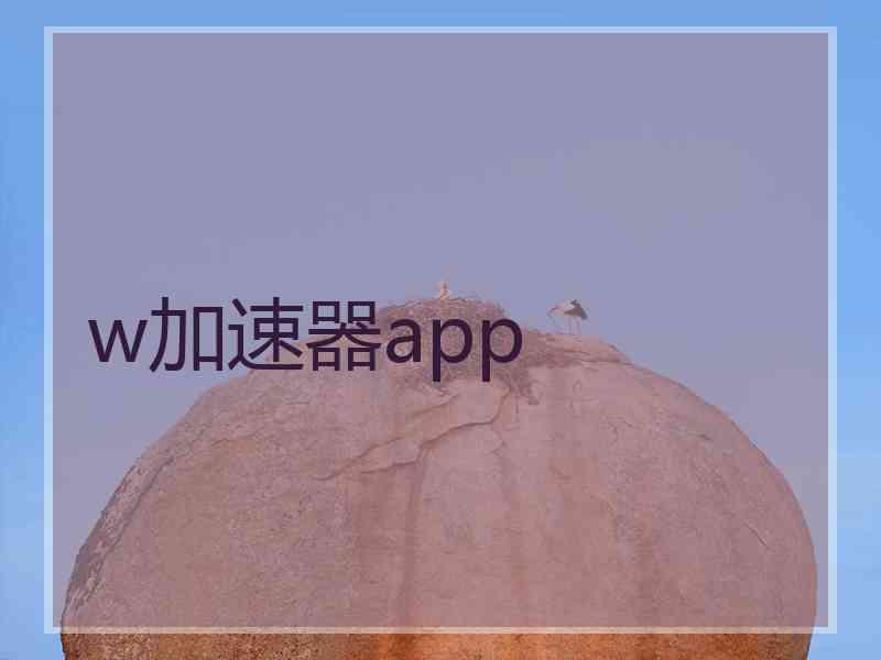 w加速器app