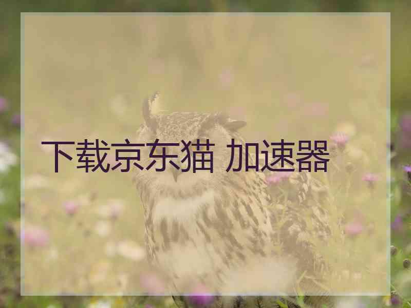 下载京东猫 加速器