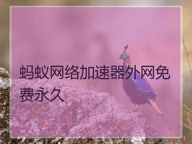 蚂蚁网络加速器外网免费永久