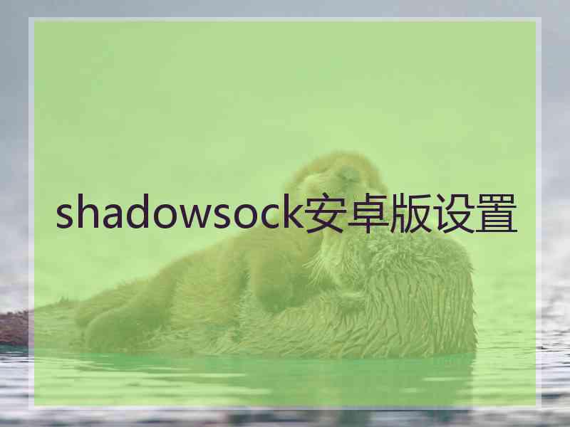 shadowsock安卓版设置