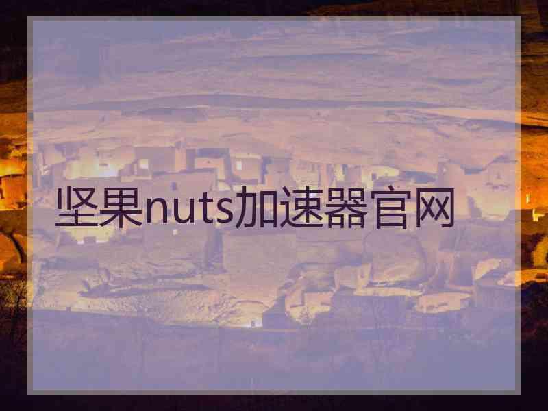 坚果nuts加速器官网