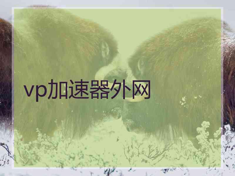 vp加速器外网