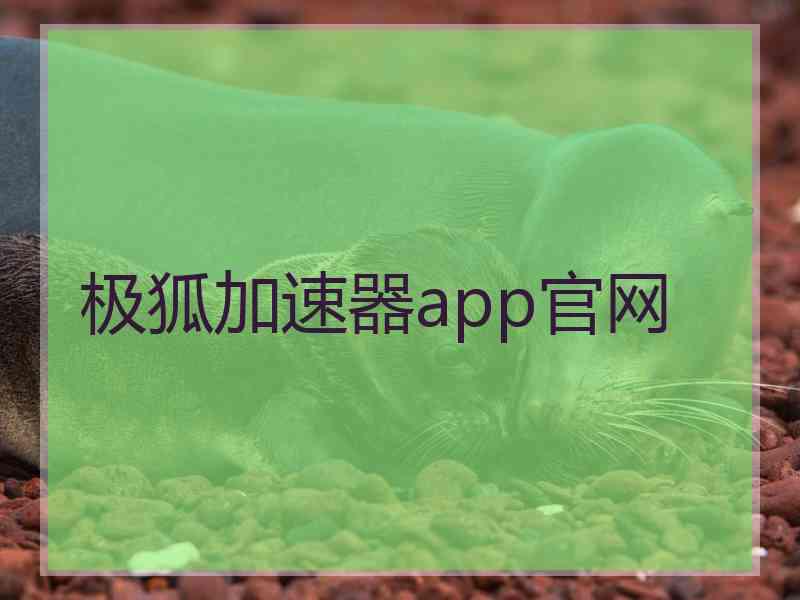 极狐加速器app官网