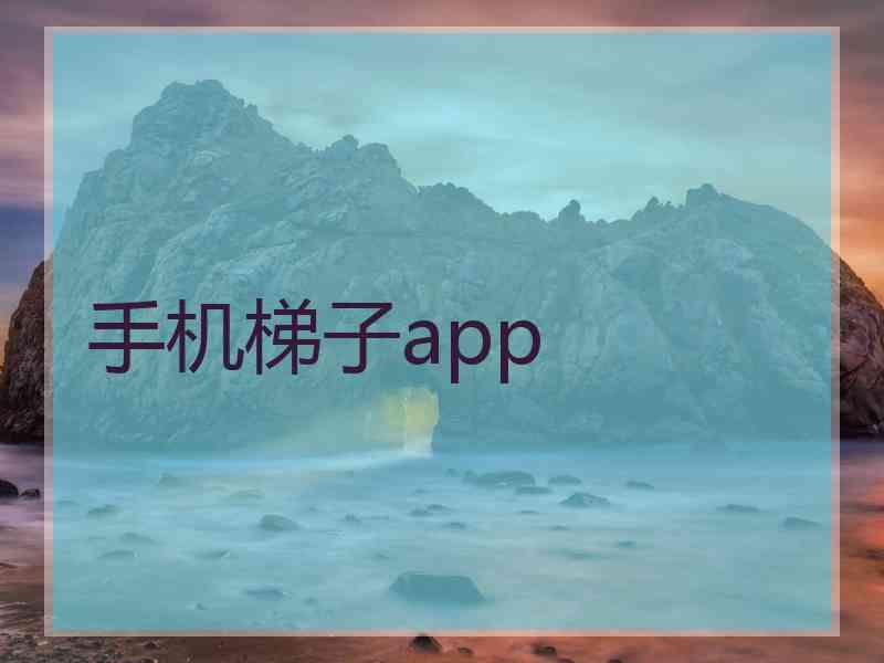 手机梯子app