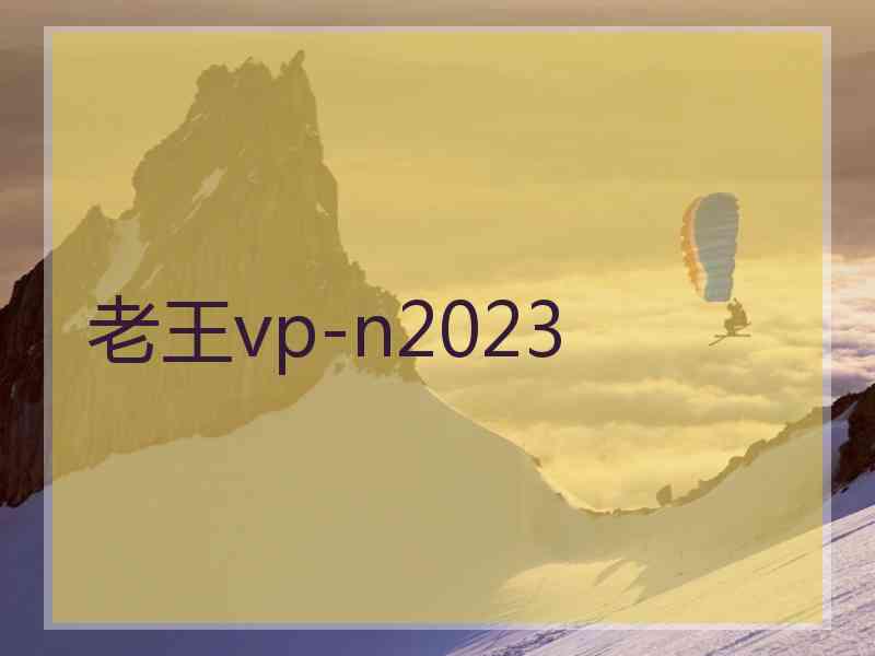 老王vp-n2023