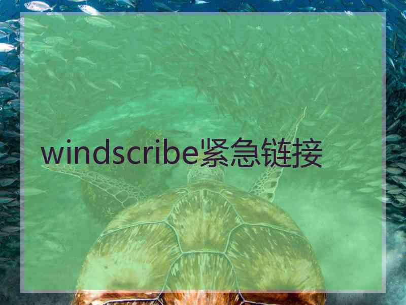 windscribe紧急链接